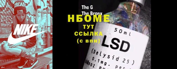 индика Абаза