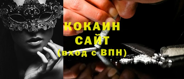 твердый Алексин