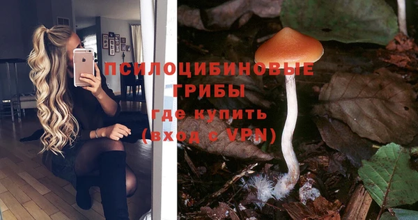 MESCALINE Козельск