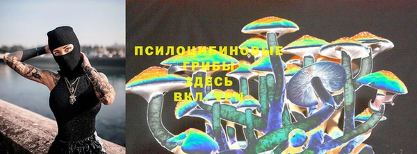 индика Абаза