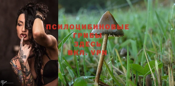 ПСИЛОЦИБИНОВЫЕ ГРИБЫ Абдулино