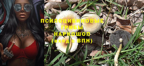 индика Абаза