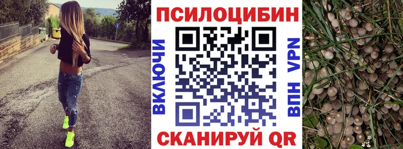 купить наркотики цена  Шадринск  Галлюциногенные грибы Cubensis 