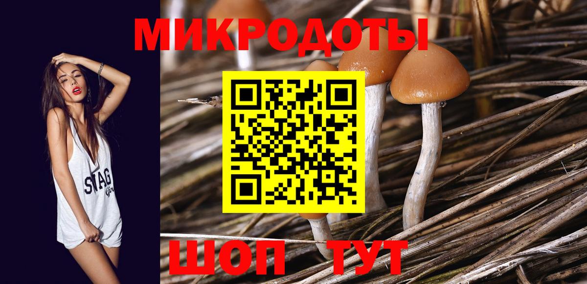 Галлюциногенные грибы мухоморы Шадринск