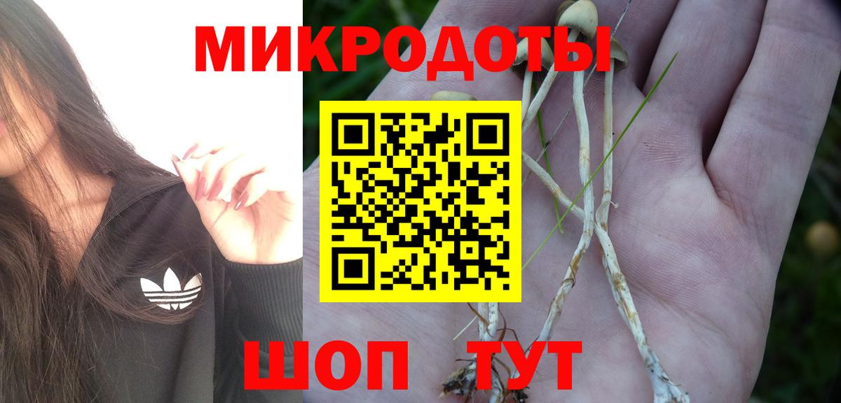 Псилоцибиновые грибы Magic Shrooms  Псилоцибиновые грибы Magic Shrooms  Шадринск  Вход с VPN 