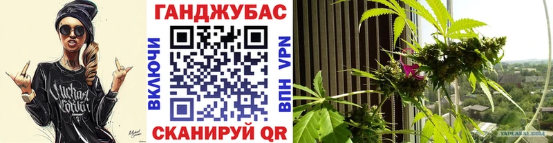 OMG вход Шадринск Бошки марихуана THC 21%